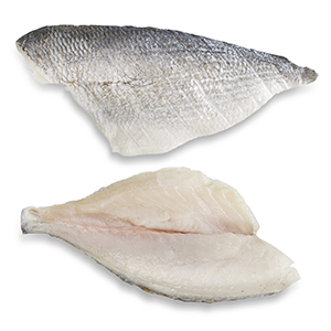 لیست قیمت عمده خرید آنلاین ماهی شوریده